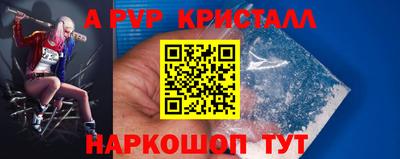 молекула духа Будённовск