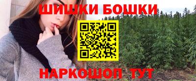 молекула духа Будённовск