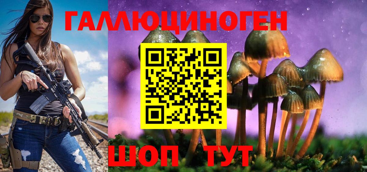 Галлюциногенные грибы мухоморы Нововоронеж