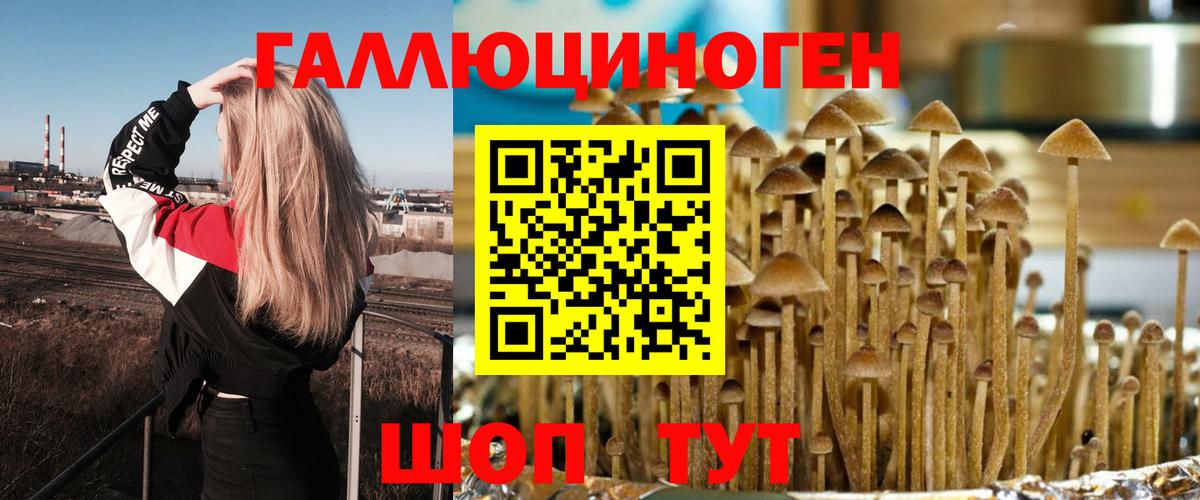 Псилоцибиновые грибы Psilocybe  Вход с VPN  Нововоронеж 
